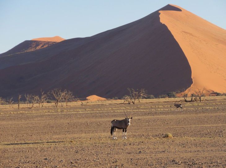 Eine Rundreise durch Namibia - Von Sossusvlei nach Windhoek 