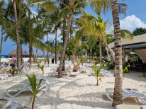 original 20230226 103405