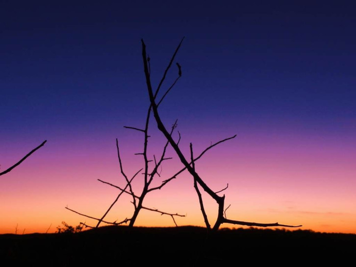 original Sonnenuntergang im Etosha Park