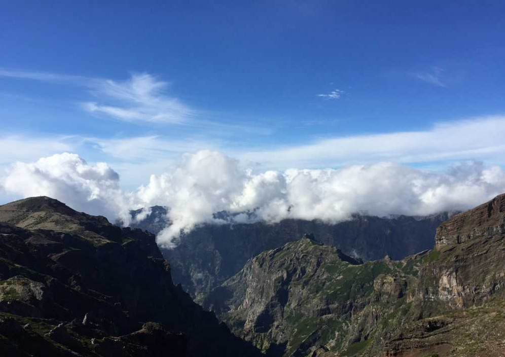 Bild von Madeira - Trauminsel im Atlantik